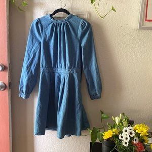 & Other Stories Denim Dress